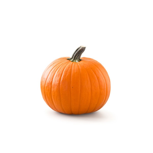 Pumkin