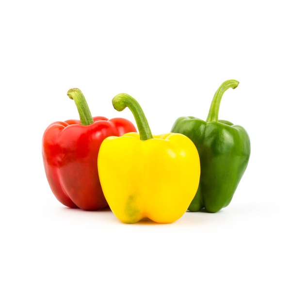 Capsicum